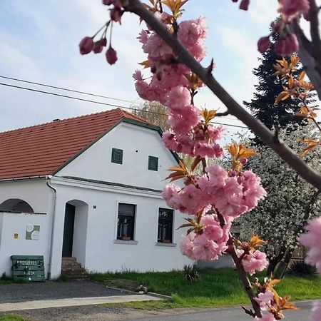 فيلا Fuszeres Porta Mihalyfa المظهر الخارجي الصورة