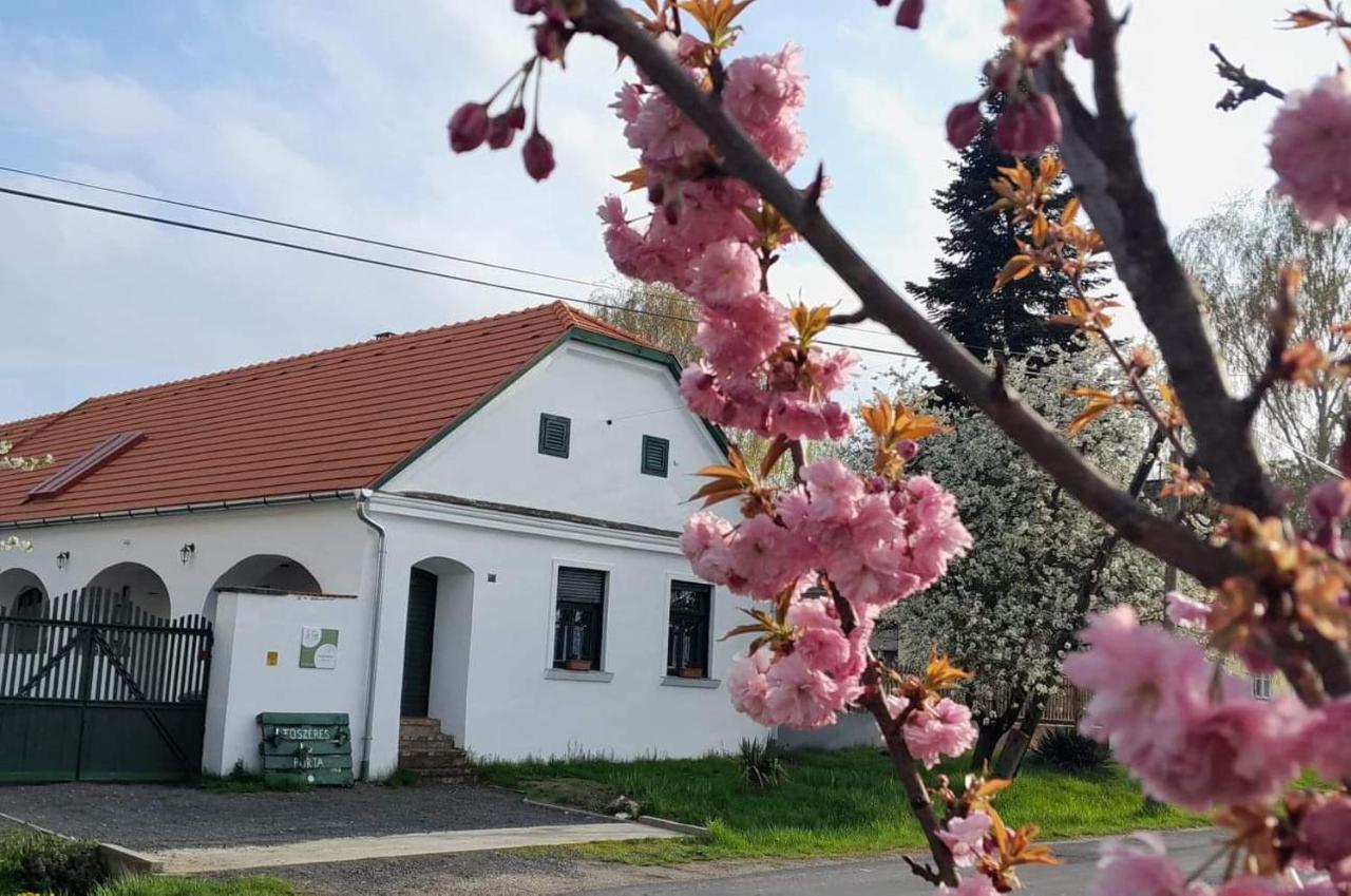 فيلا Fuszeres Porta Mihalyfa المظهر الخارجي الصورة
